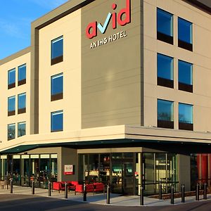 Avid Hotels - Beaumont By Ihg